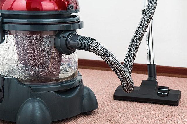 Teppichreinigung: So wird dein Teppich wieder strahlend sauber